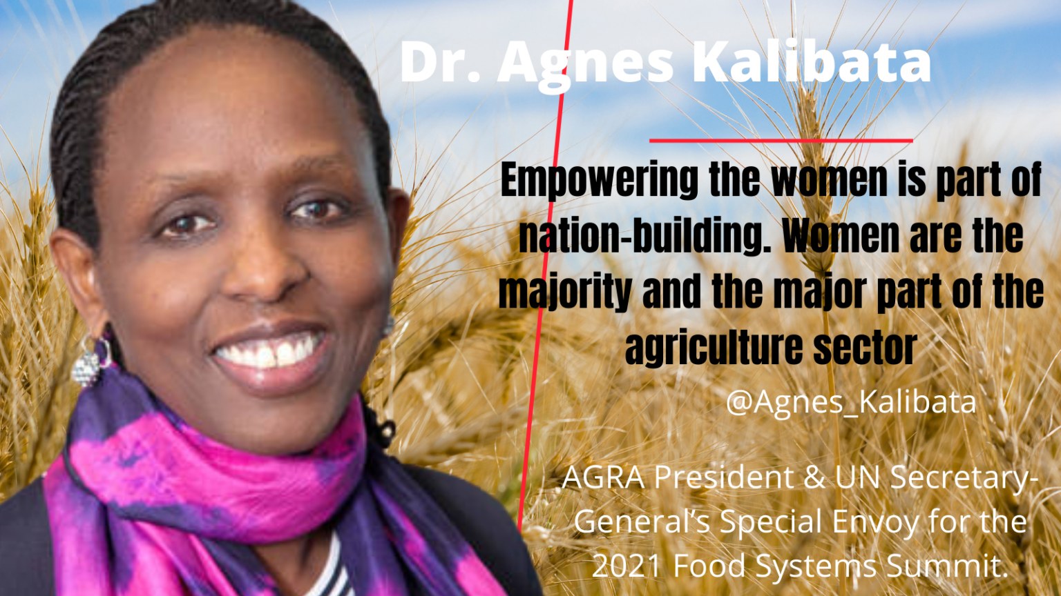 10 Powerful Agriculture Quotes From Dr Agnes Kalibata Kilimo Kwanza