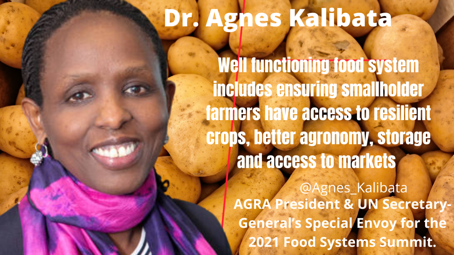 10 Powerful Agriculture Quotes From Dr Agnes Kalibata Kilimo Kwanza