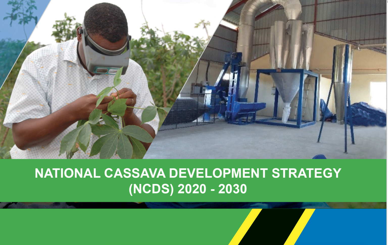 Tanzania: NATIONAL CASSAVA DEVELOPMENT STRATEGY (NCDS) 2020 – 2030 ...