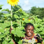 Mwanaidi Kisegelo, sunflower farmer, photo by One Acre Fund Tanzania, showcasing sunflower farmers