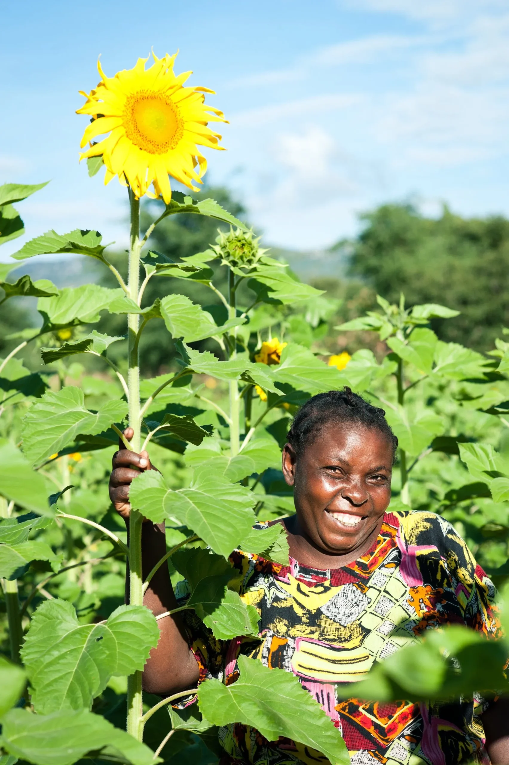 Mwanaidi Kisegelo, sunflower farmer, photo by One Acre Fund Tanzania, showcasing sunflower farmers