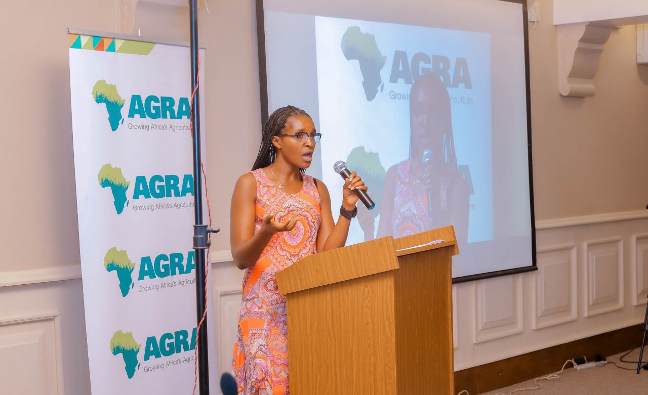 JOYDONS (T) LIMITED CEO Joyce Kimaro gives her contribution during the fourth Agribusiness dealroom country 26 08 2021 in Dar es Salaam