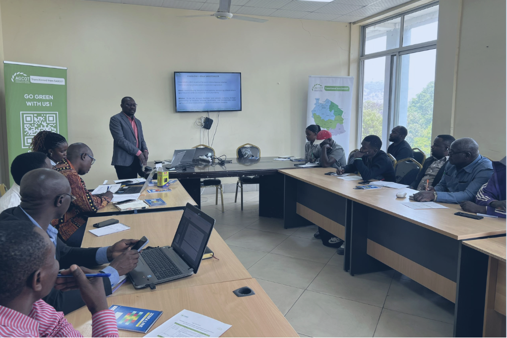 Tanzania’s Grain: Raising Standards to Feed the Region and Fuel Growth